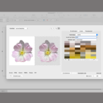 Shirts selbst bedrucken 2026: Vektordaten mit Corel Draw