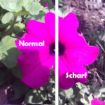 AgfaPhoto Realishot Kompaktkamera: Testbild Normal / Scharf