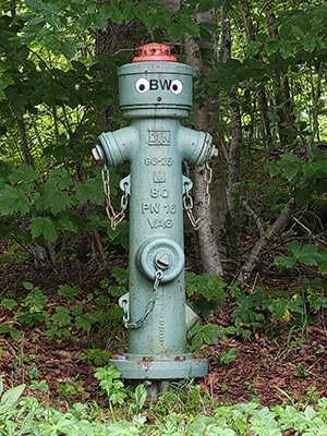 Hydrant mit Augen (Alltag des Sonderlings)