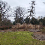 Testfoto Cloud Dance Motorola Android Smartphone: Landscape