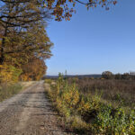 LEDs verbrauchen viel weniger Strom als Glühbirnen (Symbolbild). 