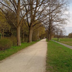 Moto G17 Testbild: Landschaft