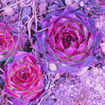 Motorola-Filter Cyberpunk