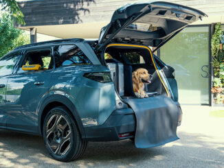 Reisen mit Hund leicht gemacht: Das PEUGEOT E-5008 Dog Edition Concept (Aufmacher)