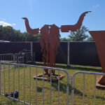 Wacken-Bullhead (Testfoto Moto G 87)