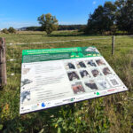Motorola Moto Edge 70 Max: Fototest Landschaft 2