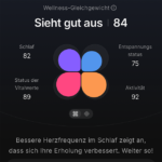 RingConn-App im Test: Wellness Score (Screenshot)